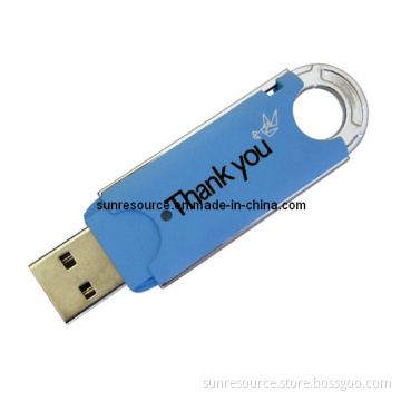 Plastic USB Flash Drive, Nice USB Flash Drive, Promotional USB Disk (SR-018)